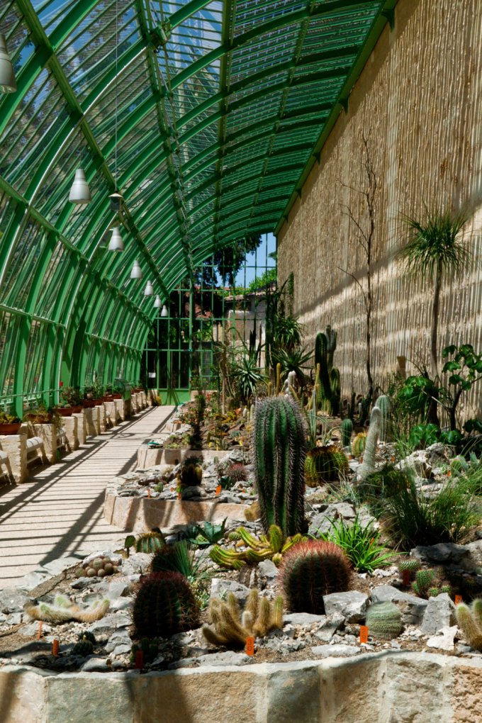 Jardin des plantes de Montpellier 2