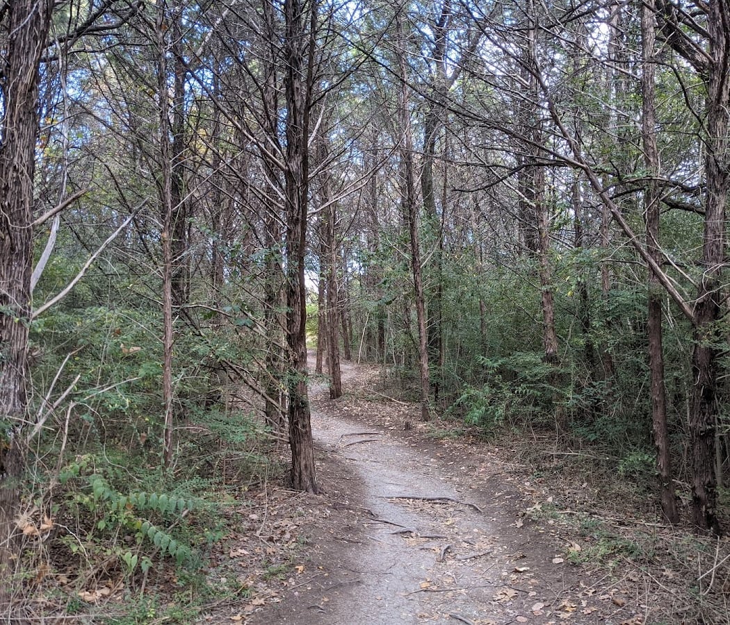 Pollinator Walk 2