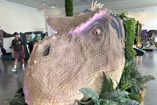 Dinosaur Quest 3
