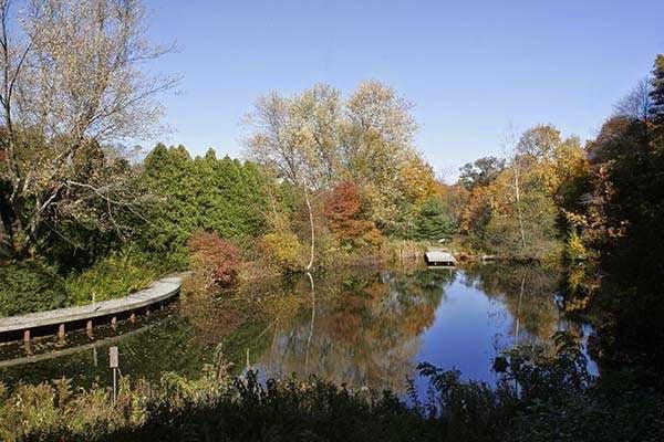 Blue Hills Trailside Museum 4