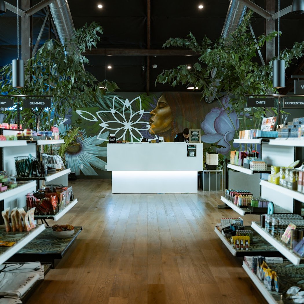 Jane Dispensary 1