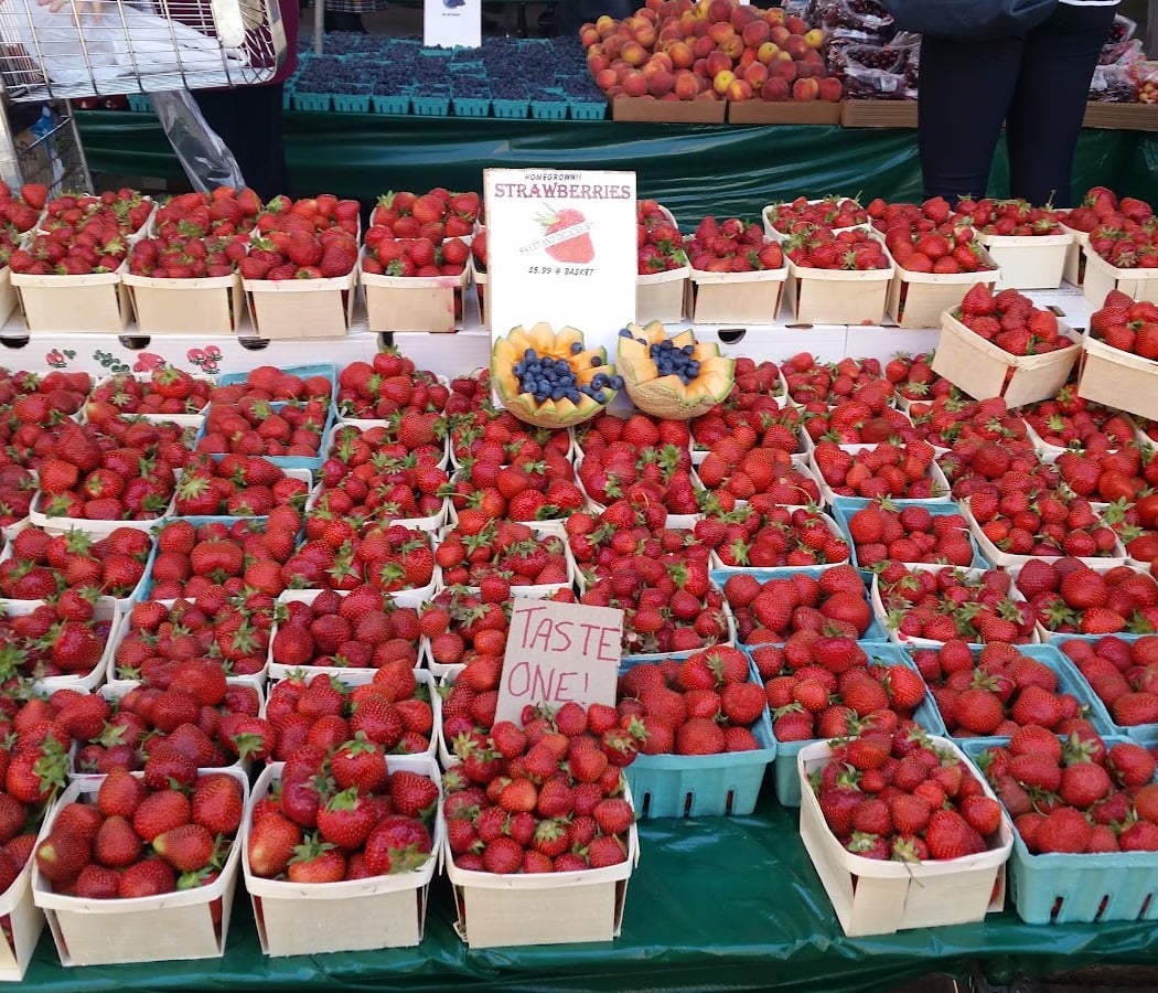 Roosevelt Island Farmers Market 1