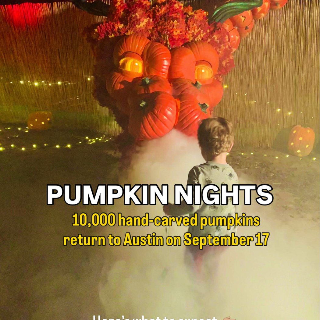 Pumpkin Nights 1
