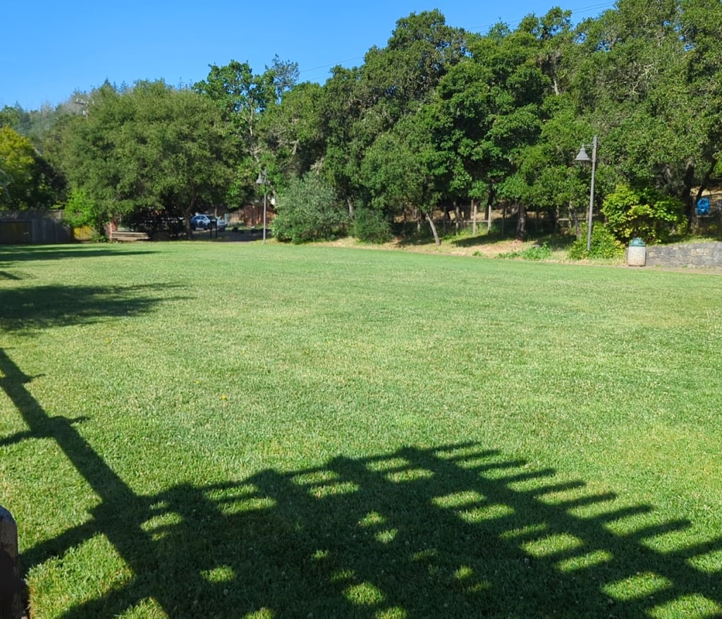 Brush Creek Park 3