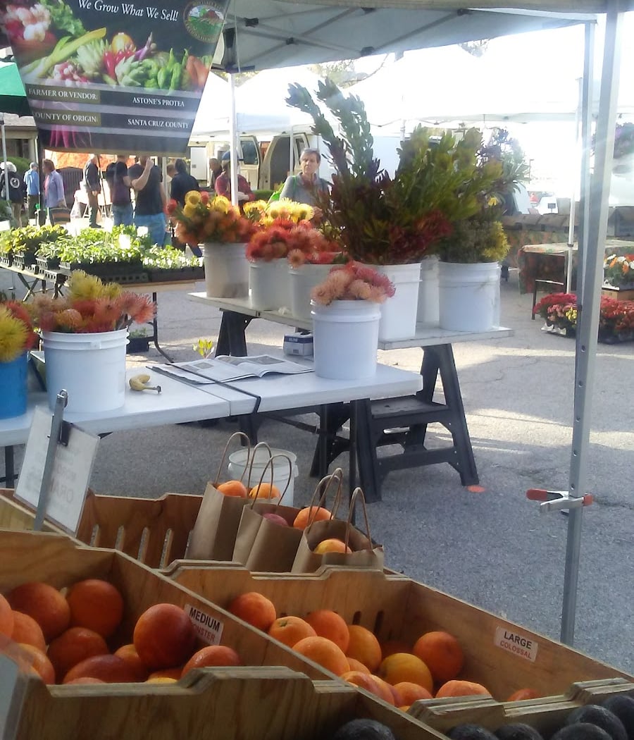 Aptos Farmers Market at Cabrillo College 2