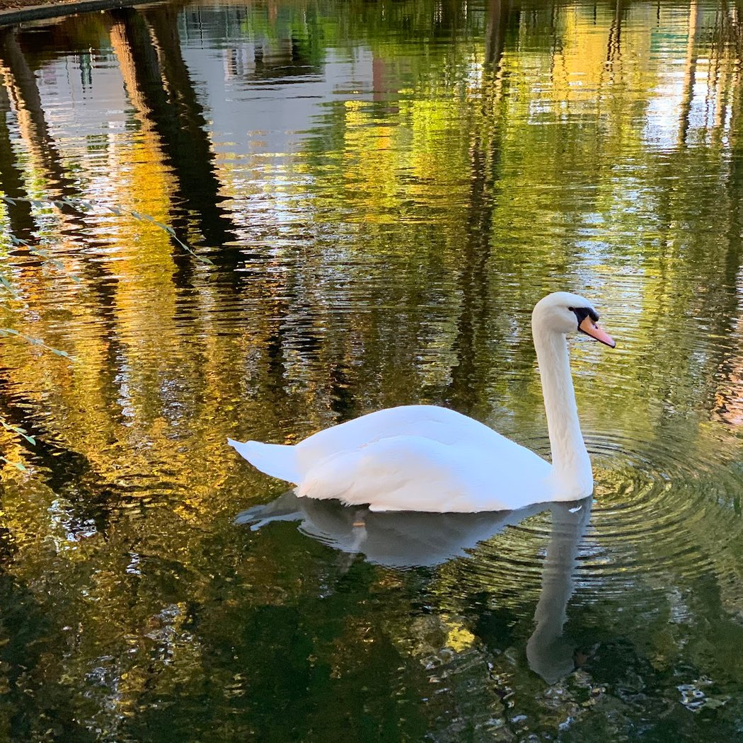Parc Gainville 1