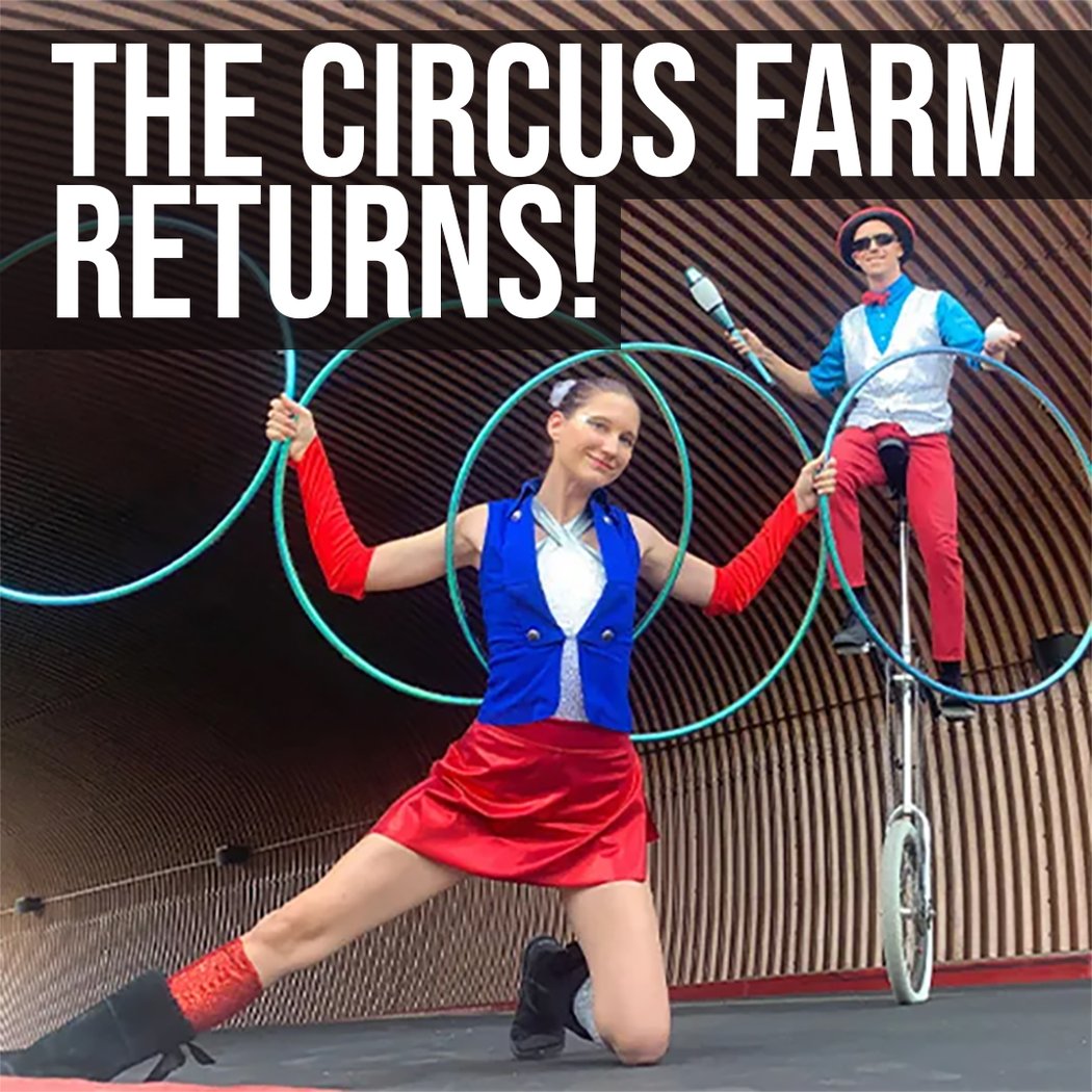 The Circus Farm: Free Programming Thursday