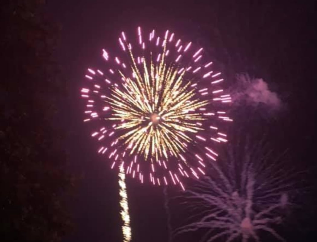 Fireworks: Lake Erie Metropark 1