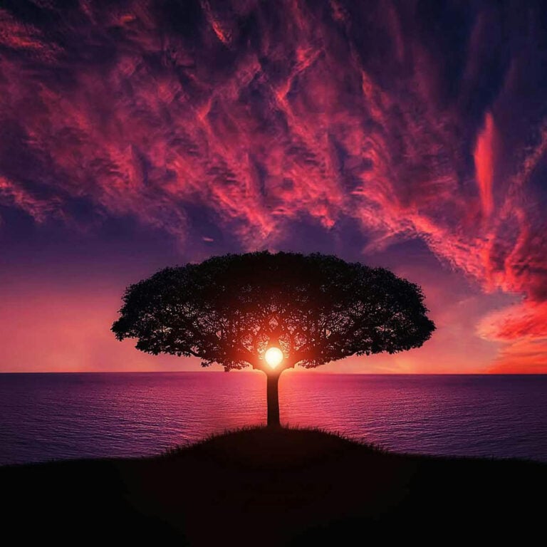 Exploring Consciousness with the Monroe Institute 1