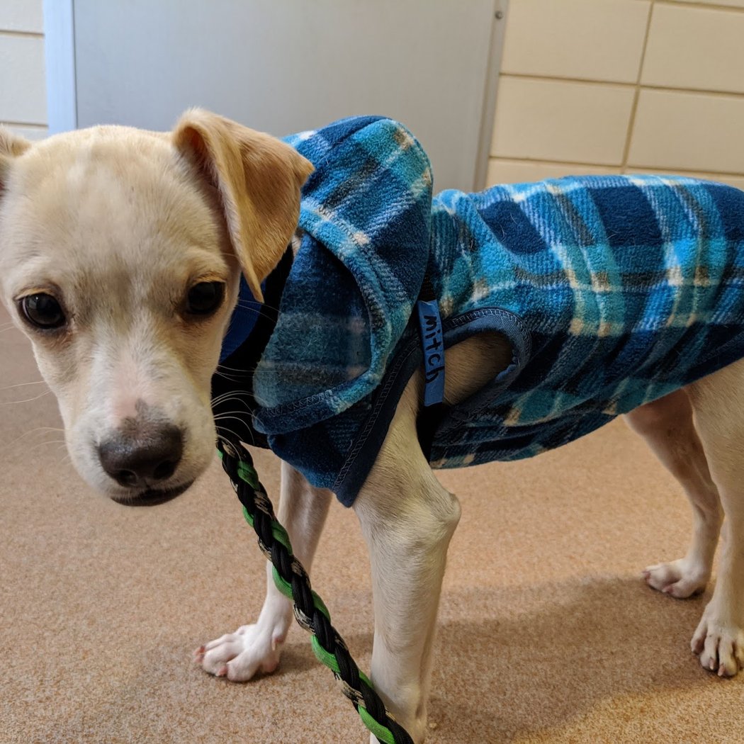 Marin Humane 1