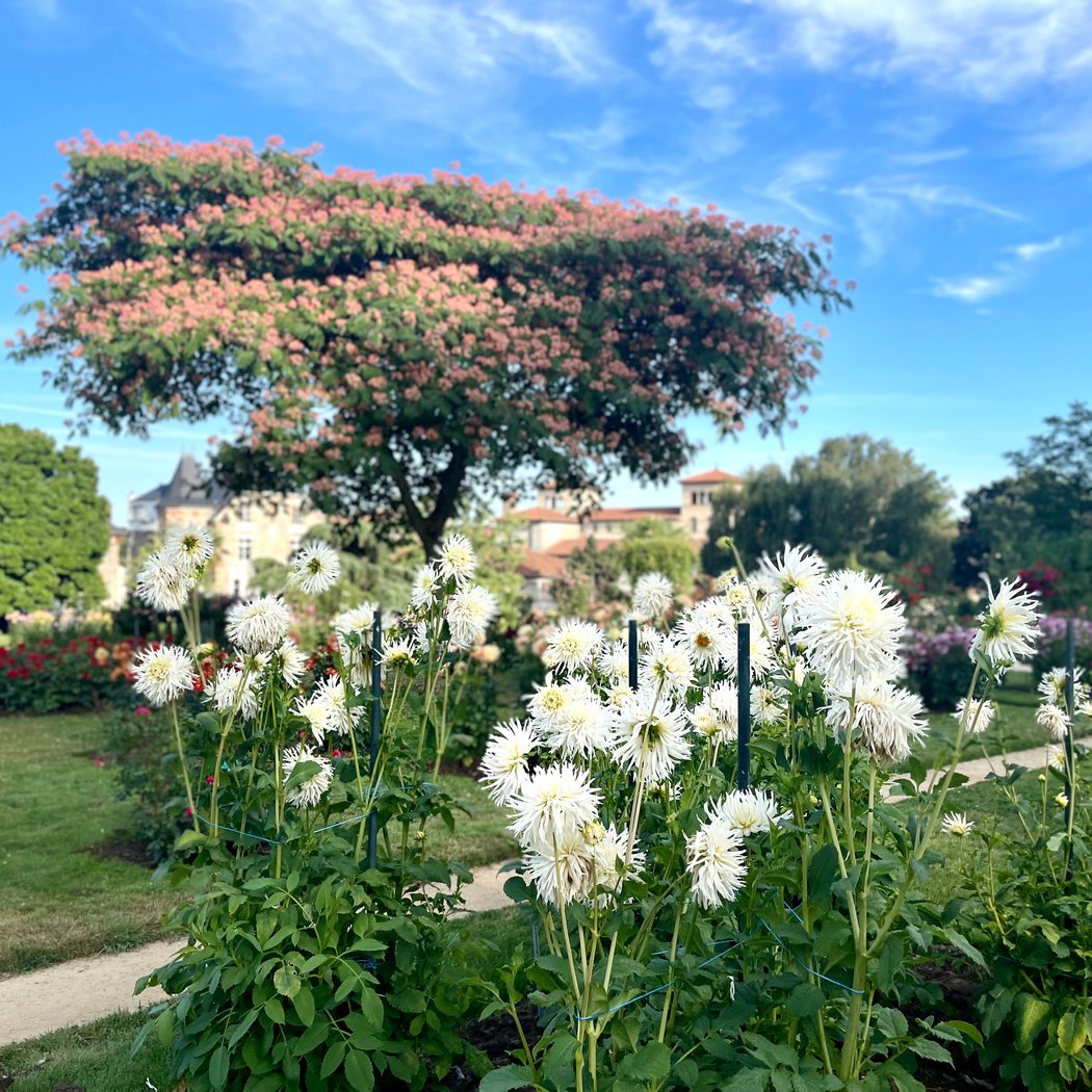 Parc du Thabor 2