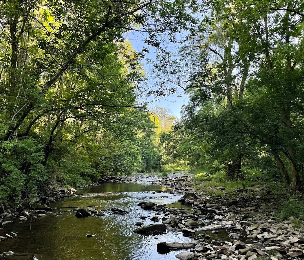 Nature Observations 2026 2