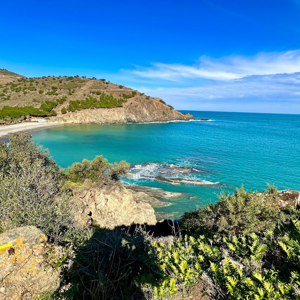 Plage de Peyrefite 2