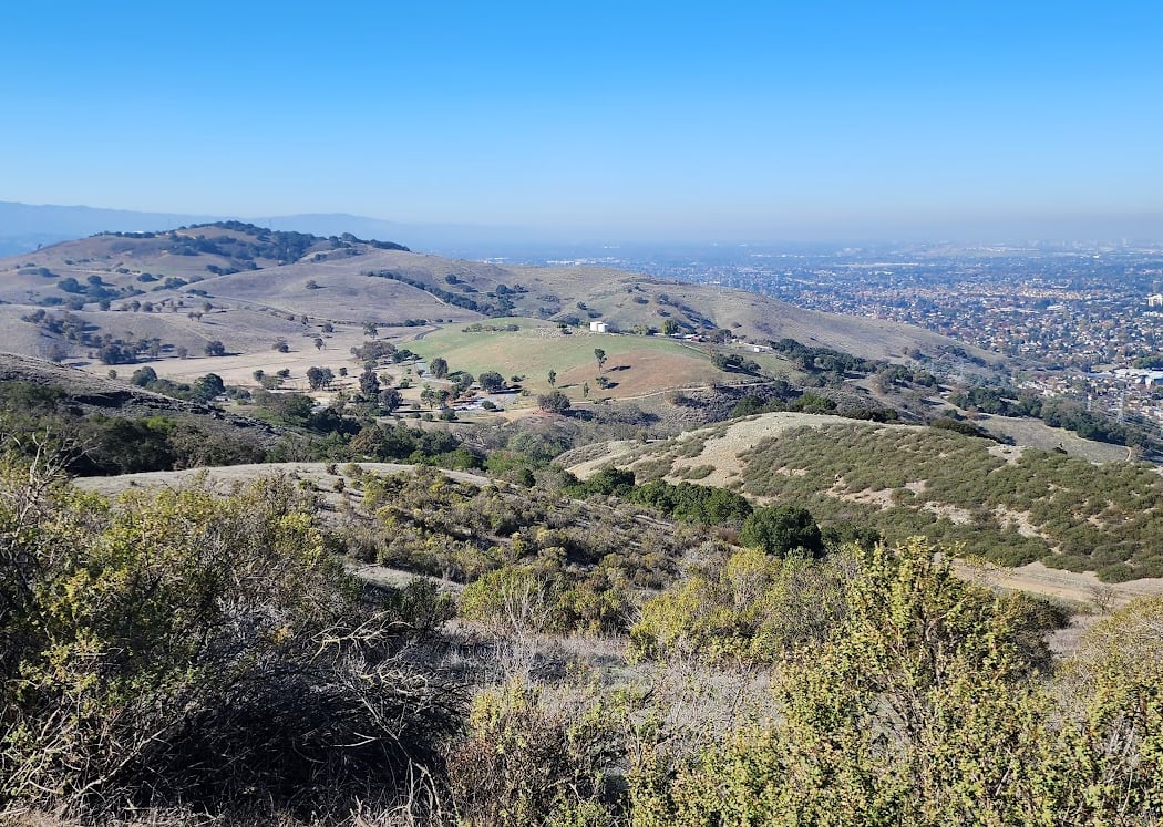 Coyote Peak Trail 3
