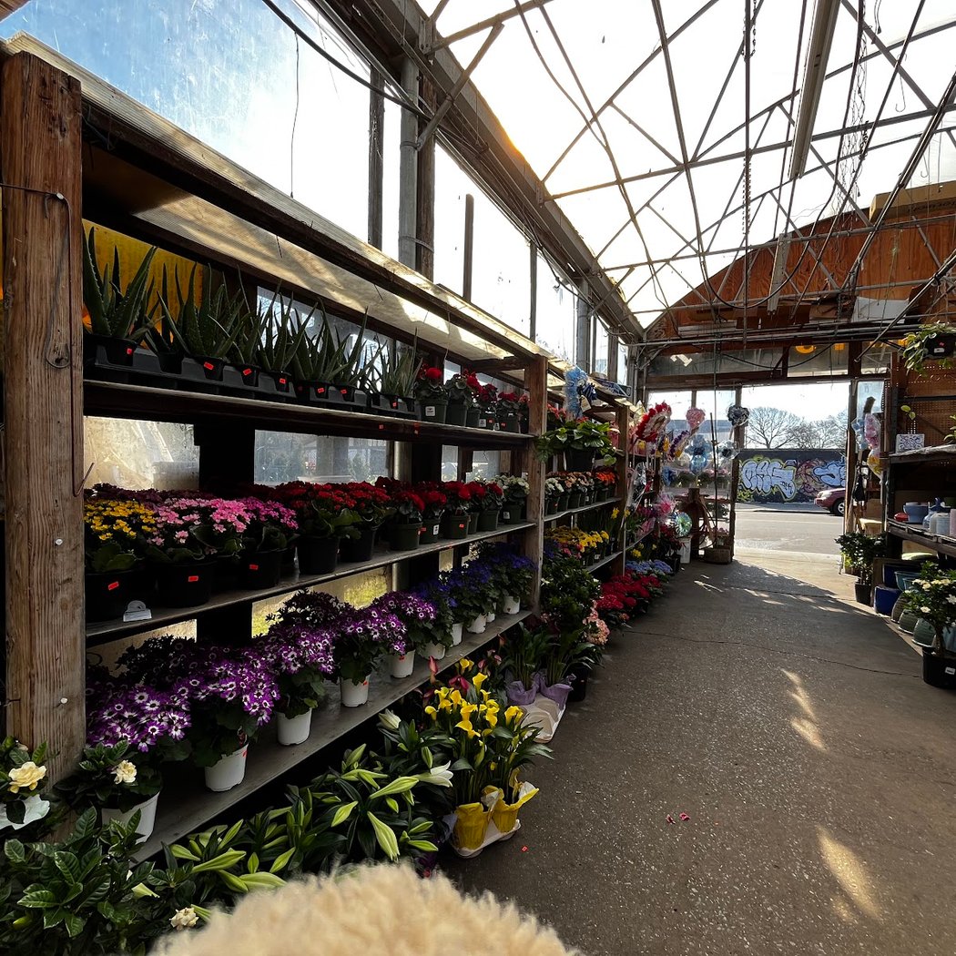 Verni’s Garden Center 3