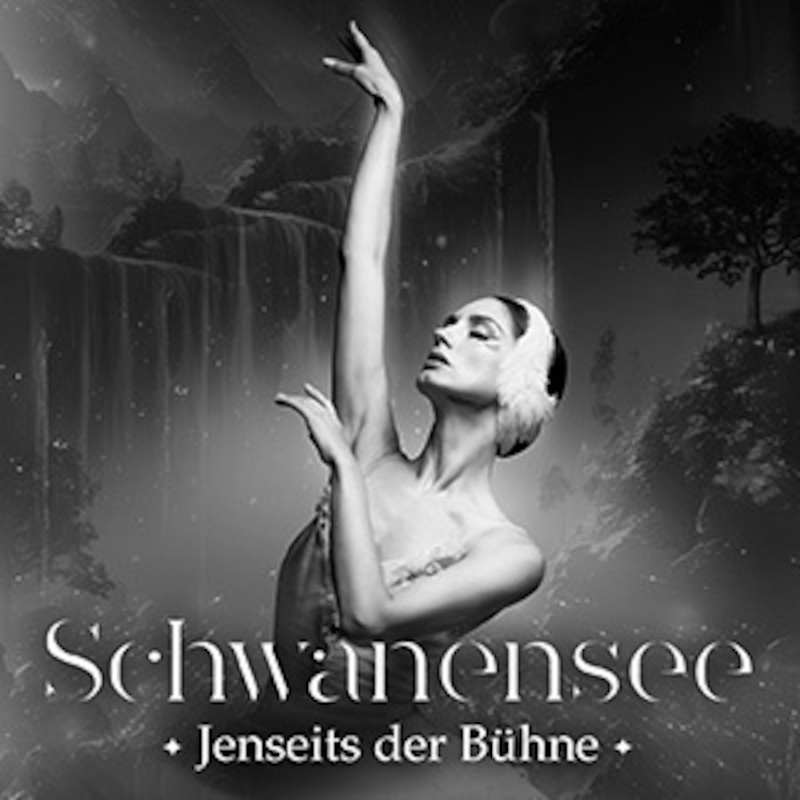 Schwanensee – Jenseits der Bühne mit live Streichquartett 1