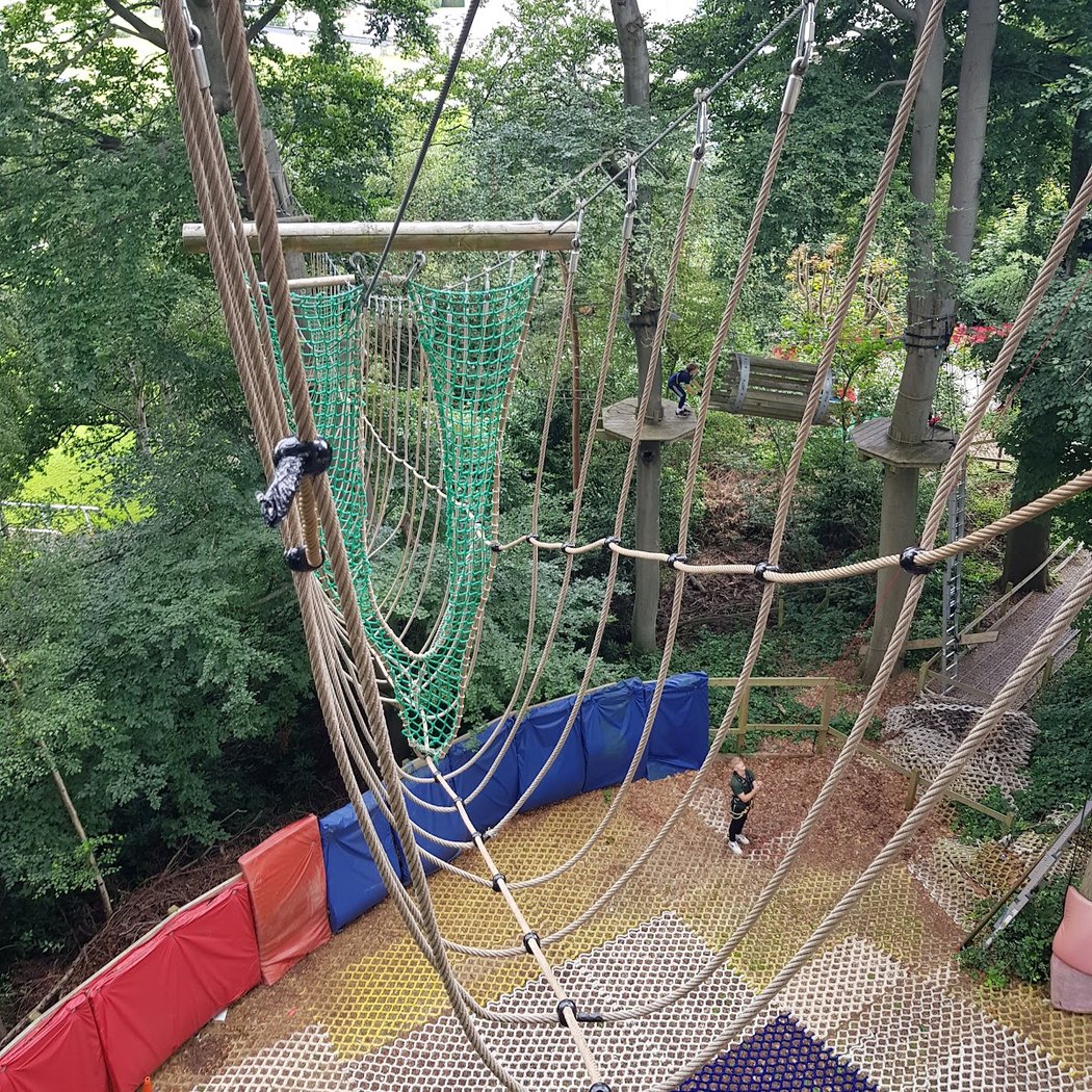 High Ropes at The Oakwood 2