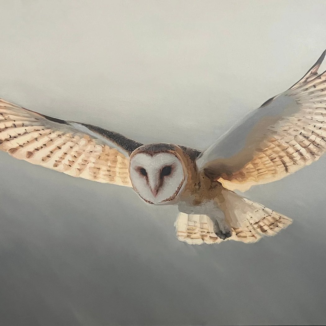 Birds of Prey 1