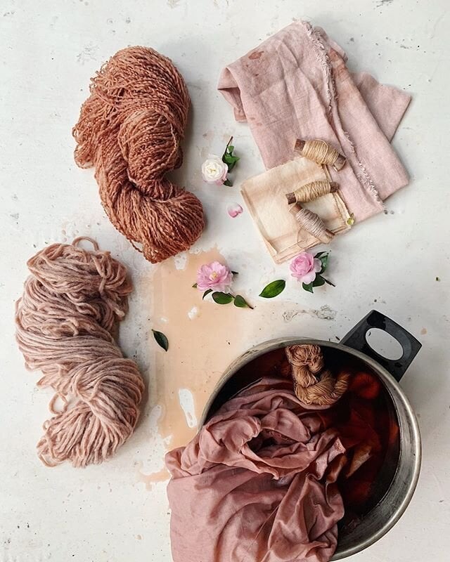 Natural Dyes Workshop 1