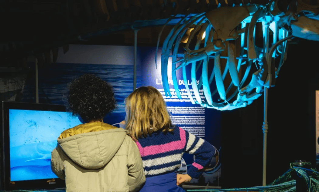 Visites flash autour de l’expo Océans 1