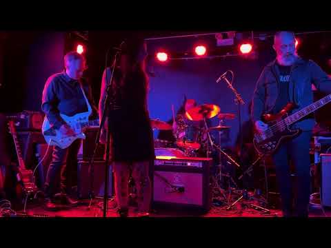 Iceblynk, Dinowalrus, We Are All Human, and Jasno Swarez 1