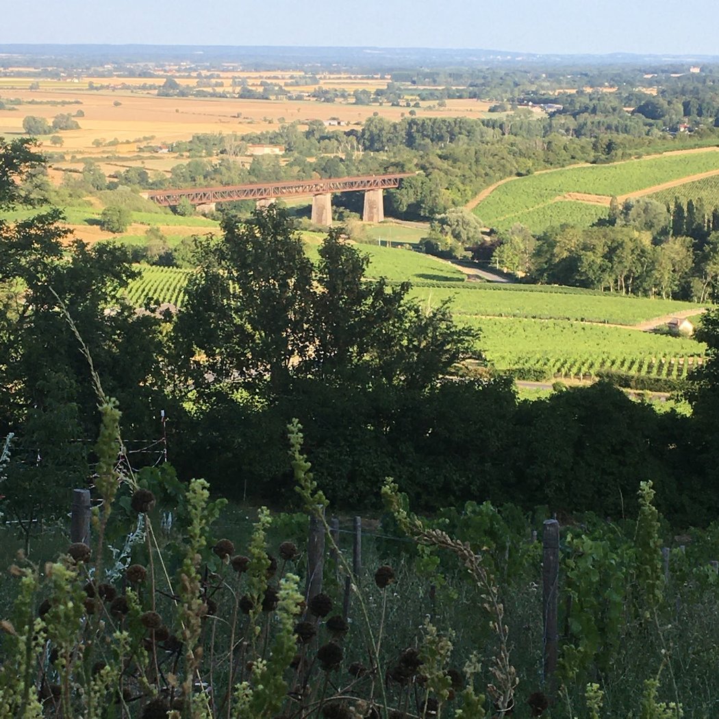 Savoir Wine Academy 3