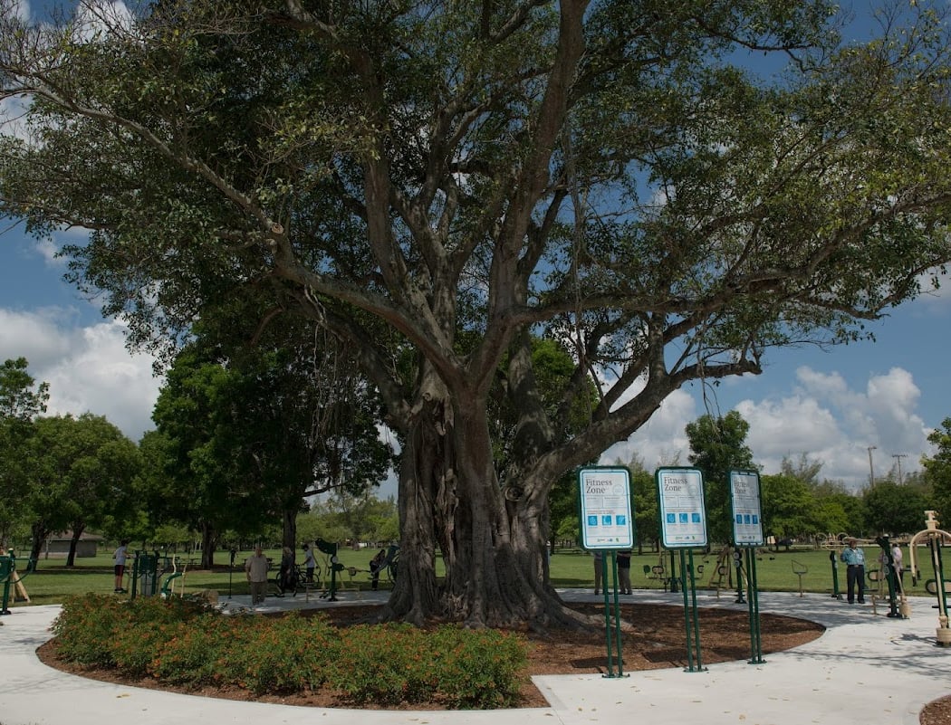 Tropical Park 2