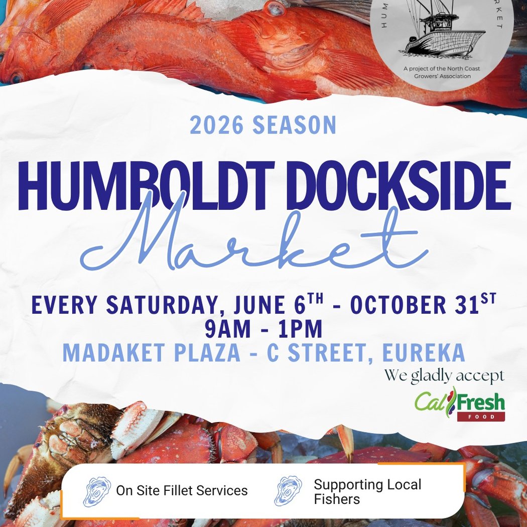 Humboldt Dockside Saturday Seafood Market 1