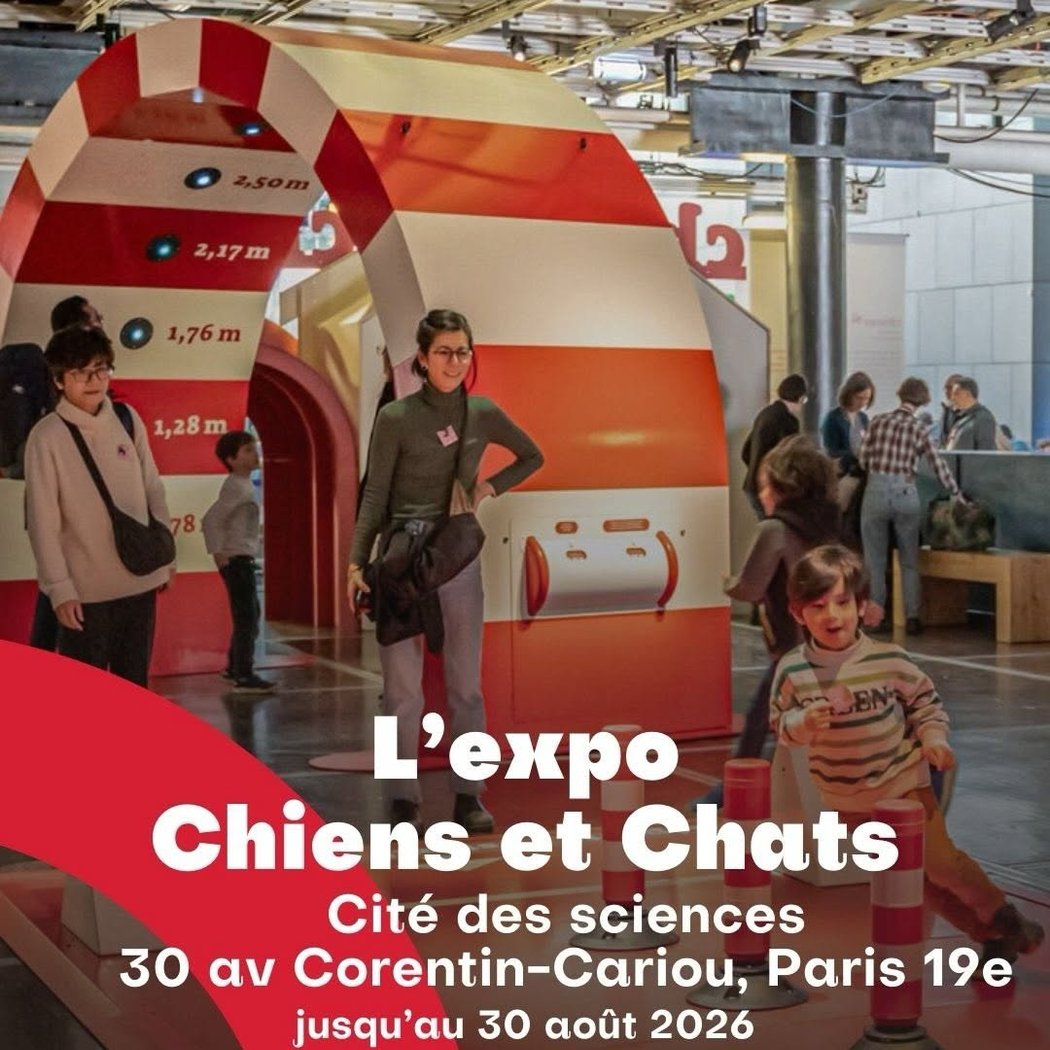Chiens et Chats 1