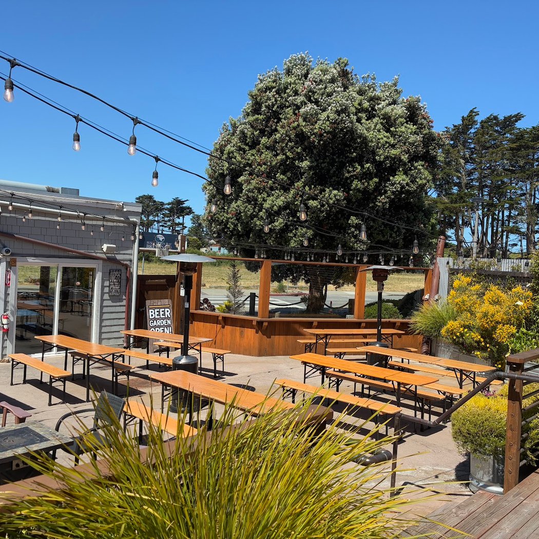 Live Music in the Beer Garden 3