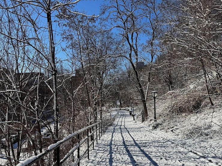 Harlem Meer 2