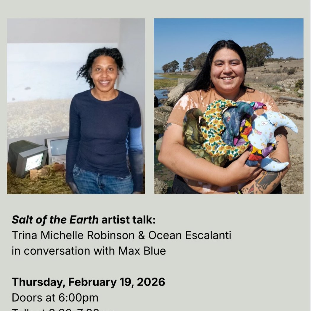 Salt of the Earth artist talk 1