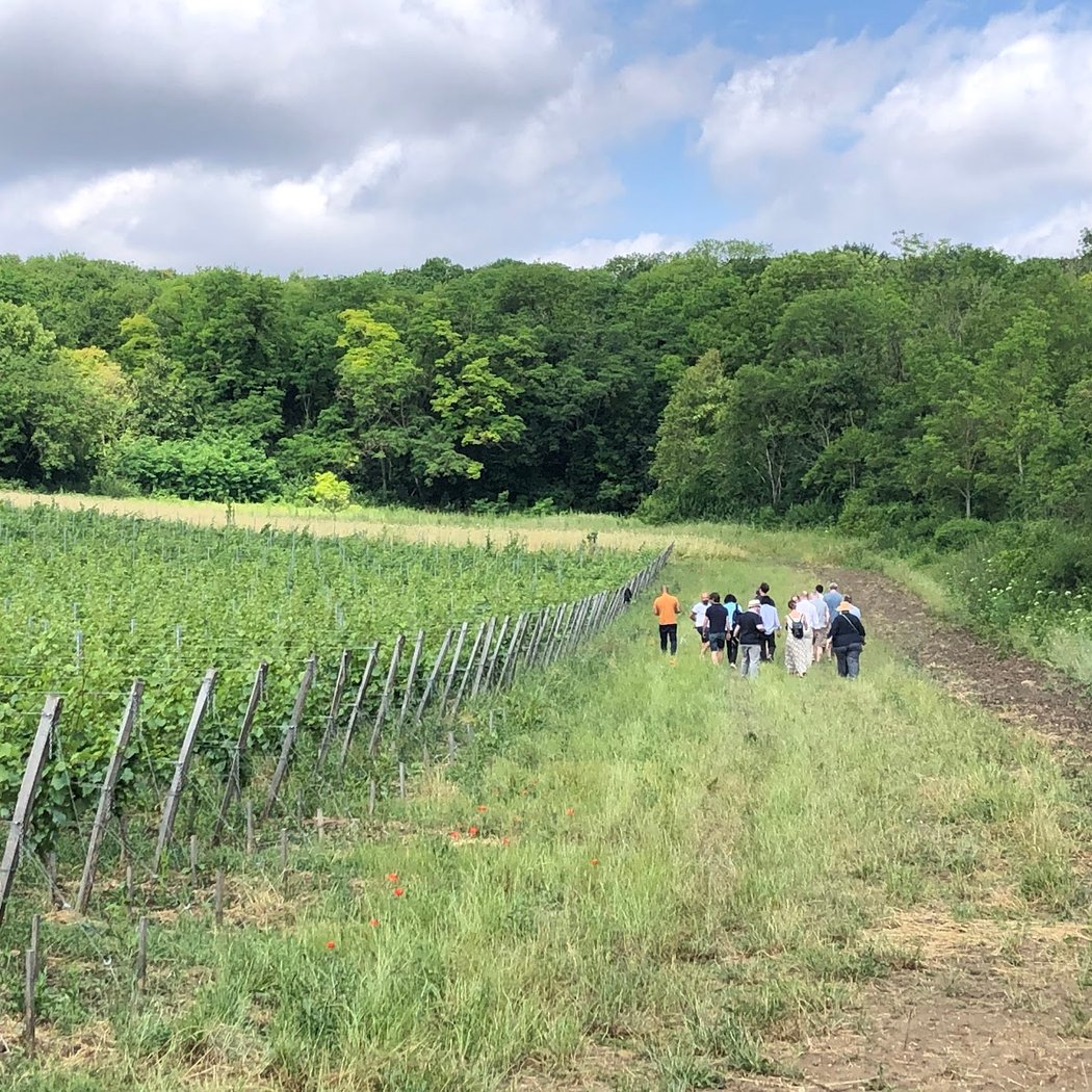 Les Coteaux du Montguichet 5