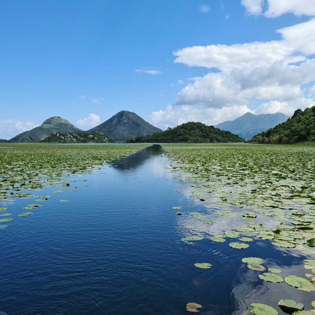 Shkodra Lake 1
