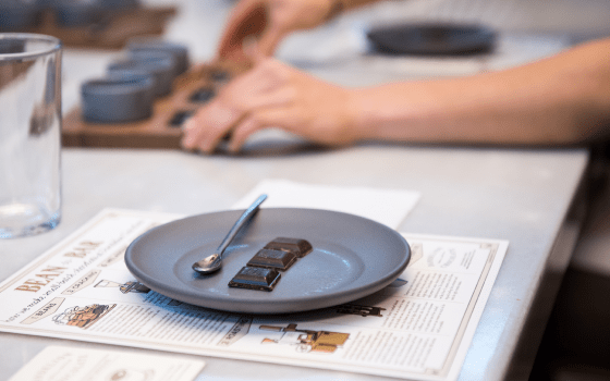 Chocolate Tasting Experience 1