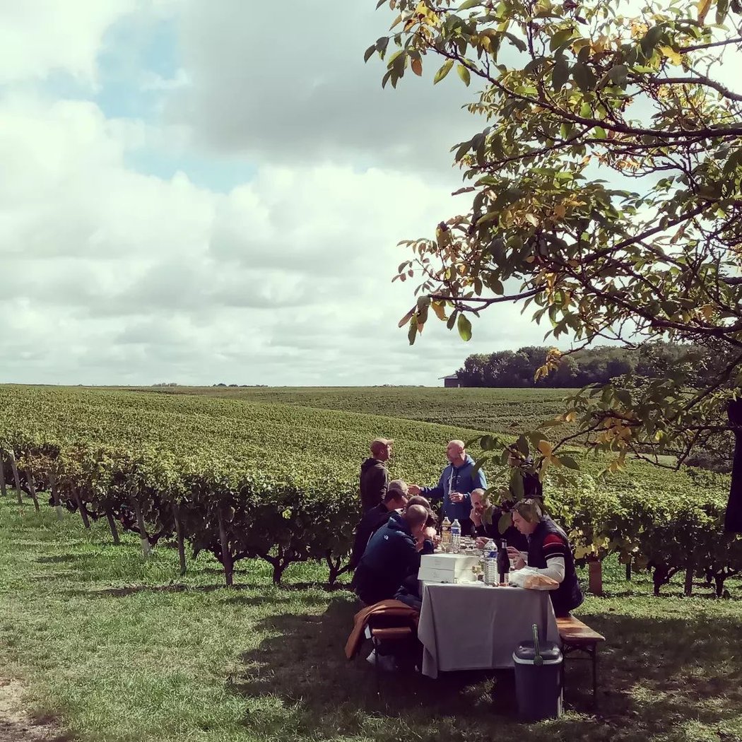 Rendez-Vous dans les Vignes 3