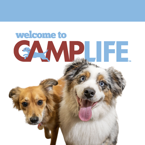 Camp Bow Wow Tri Valley / Livermore 2