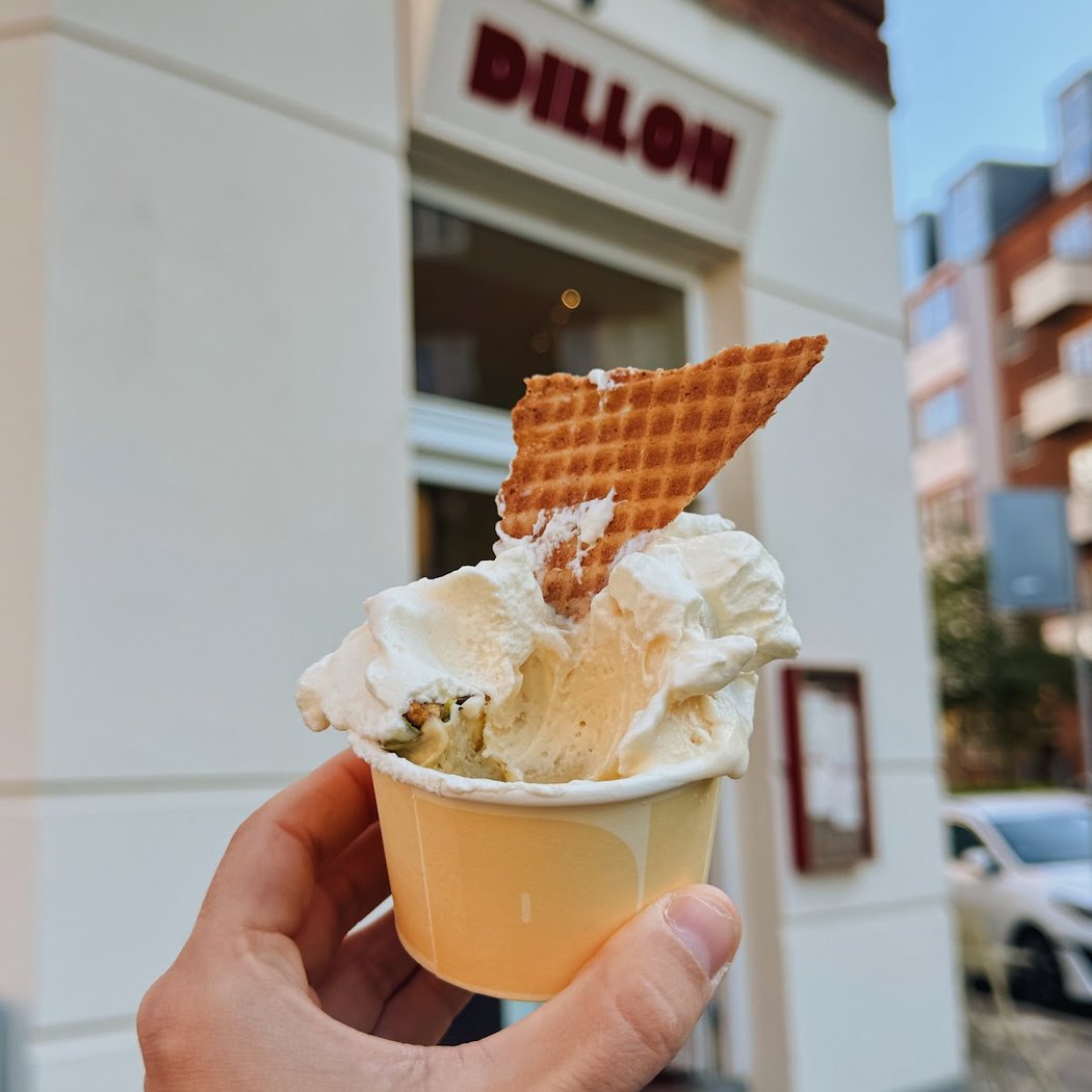 DILLON 3