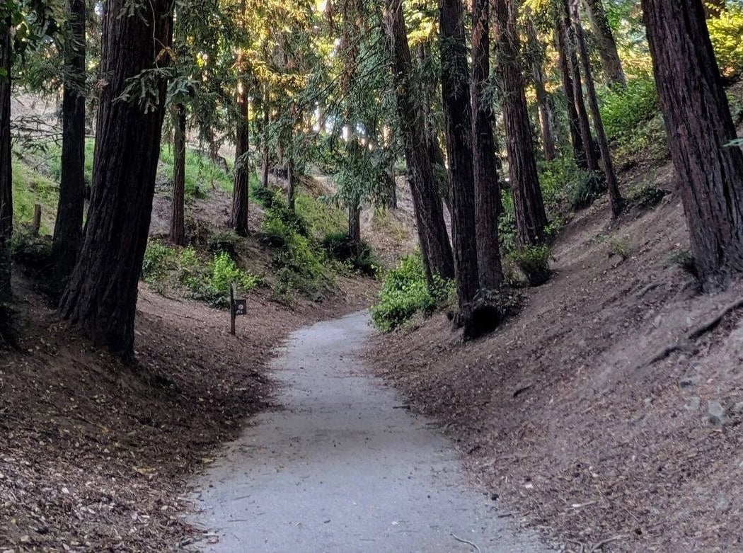 Piedmont Parks, Stairs, and Bald Eagles