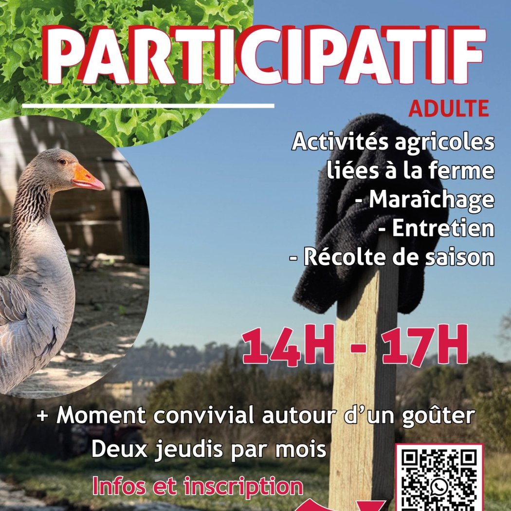 Chantier participatif 1