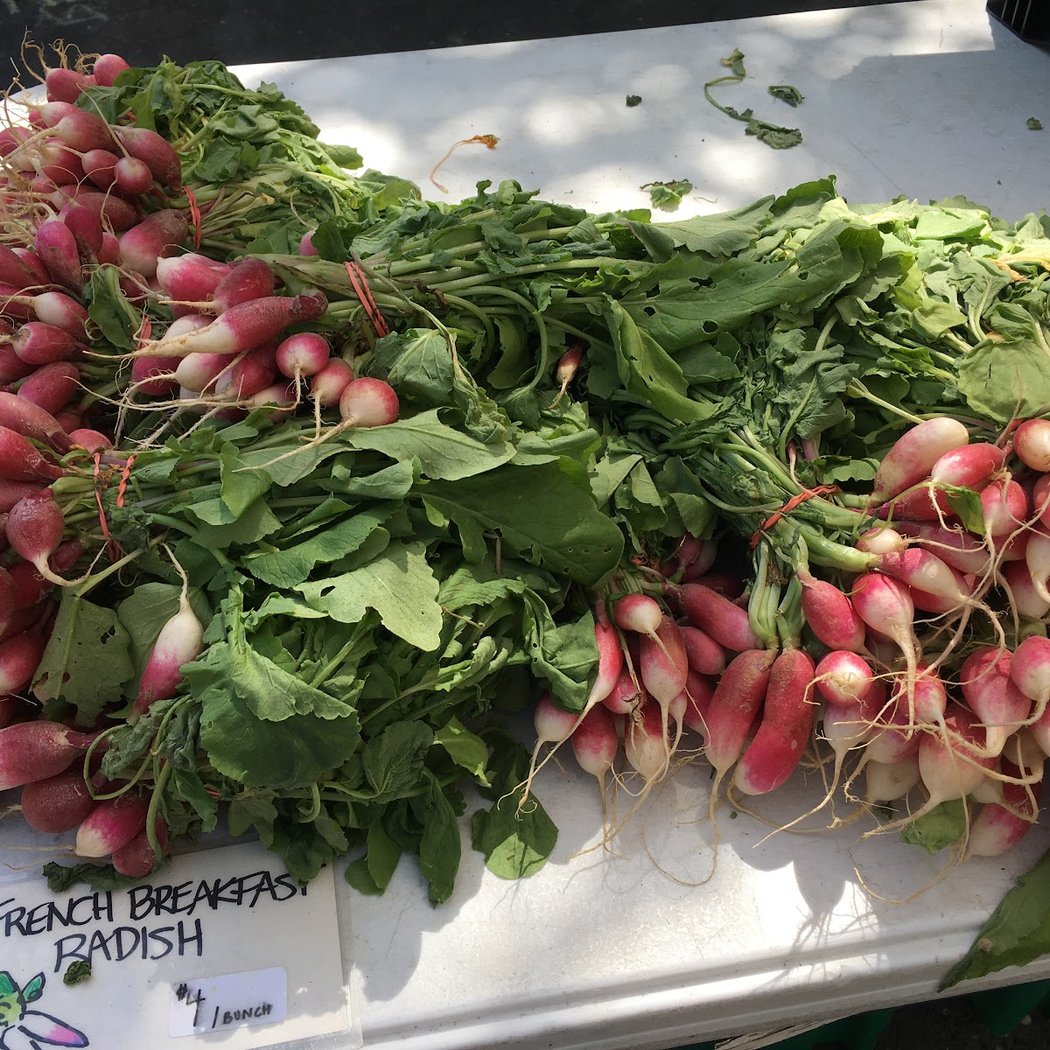 Eckerton Hill Farm - Union Square 1