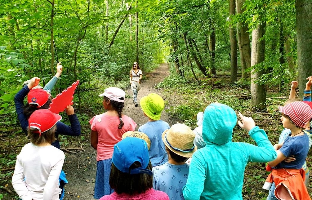 Mushroom Foraging Walk 2