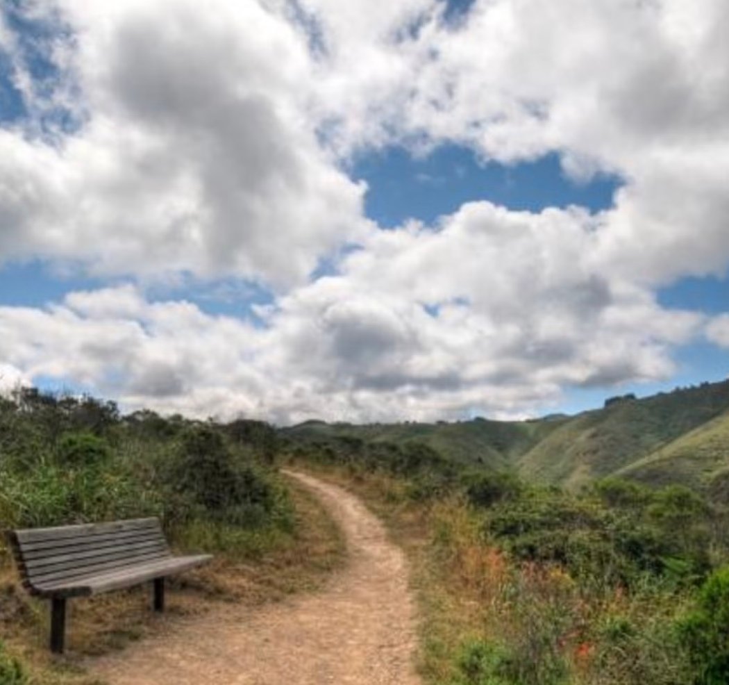 San Pedro Valley Park 1