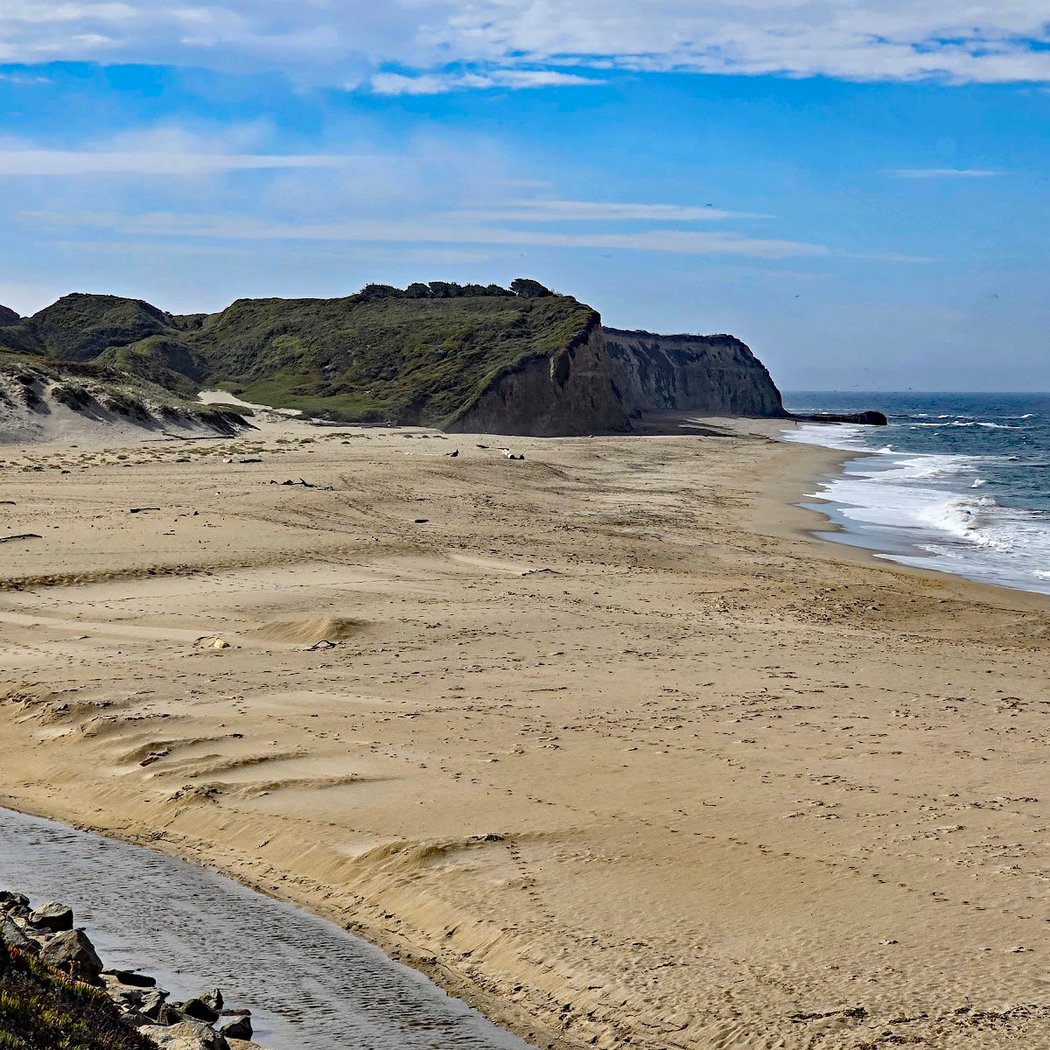 Scott Creek Beach 1