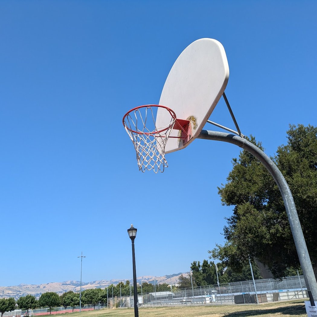 Roosevelt Park Basketball Courts 1