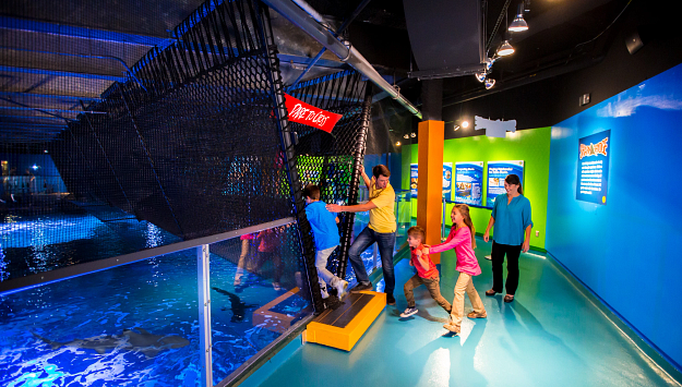 Newport Aquarium 3