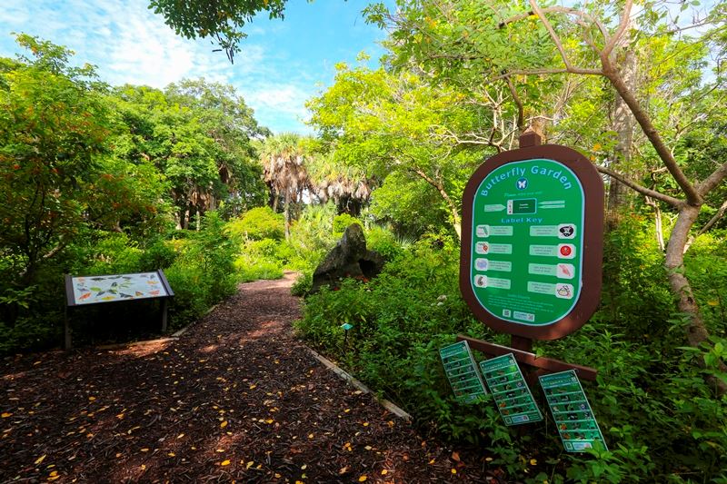 Gumbo Limbo After Hours Tour 2