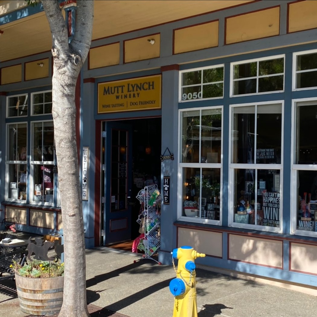 Mutt Lynch Winery 3