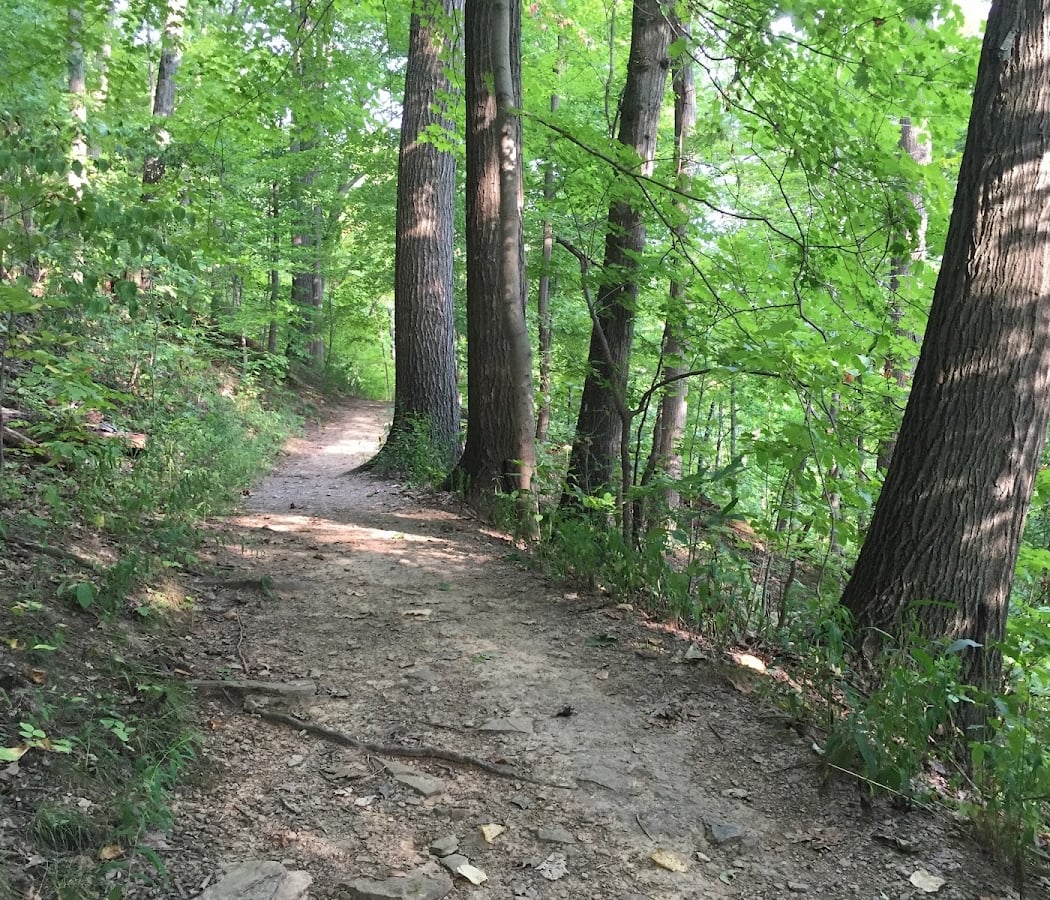 Core Arboretum 3