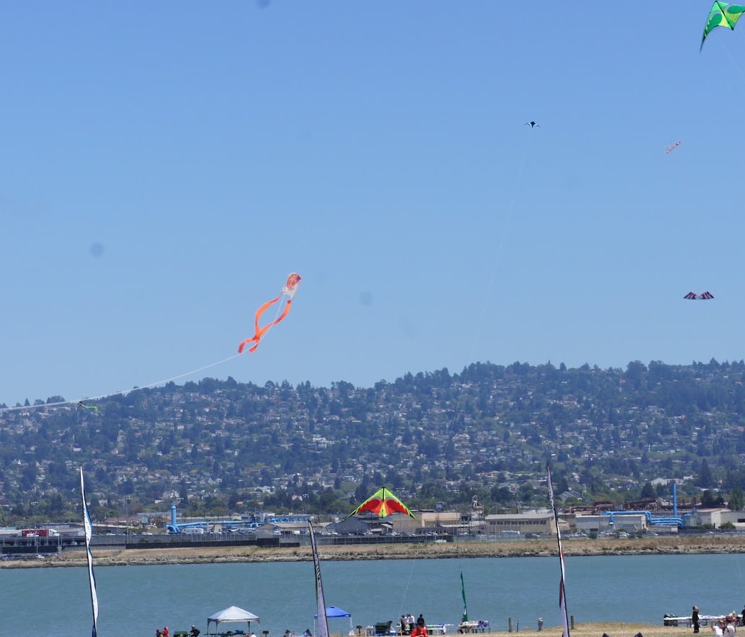 Berkeley Kite Festival 2